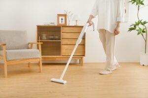 Handy Cleaner
